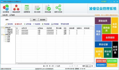 凌豪會(huì)員管理系統(tǒng) 官方版v1.0